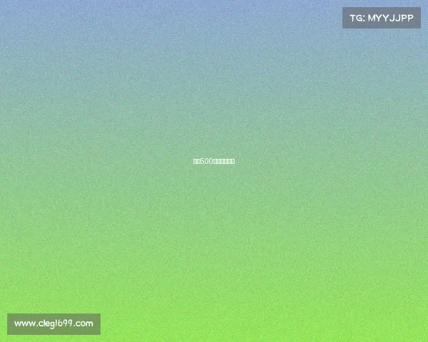 印地500一年几场比赛