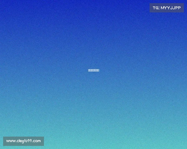 赛事组委会架构