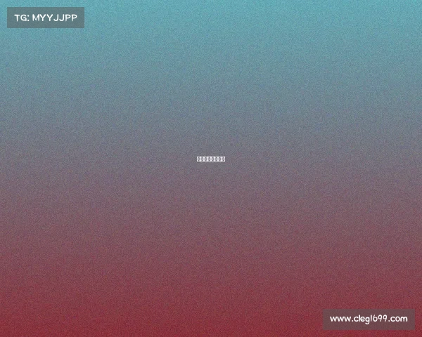 女排的比赛有哪些