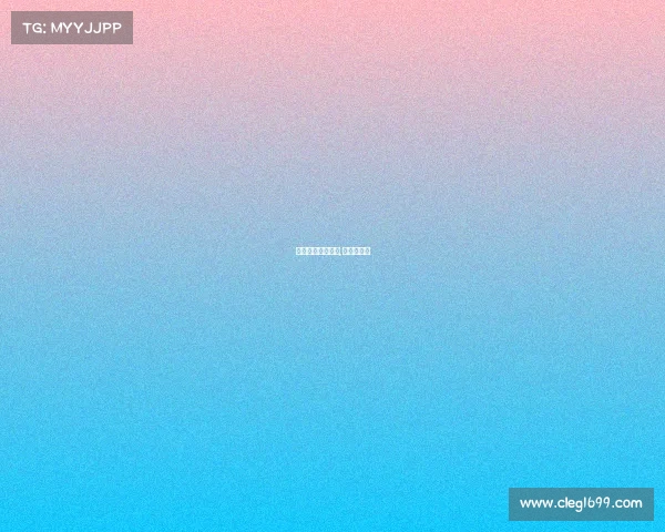 查拳全国举行赛事,查拳知多少